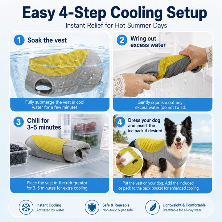 Ifigenia | Water-Activated Dog Cooling Vest for Summer Walks & Hikes - image 3