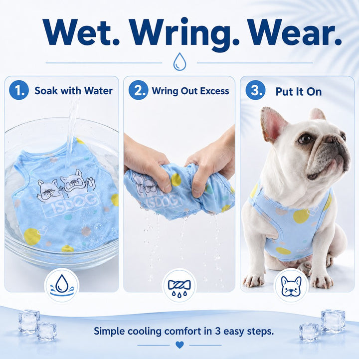 Kalliroi | French Bulldog Cooling Vest for Hot Summer Walks - image 4